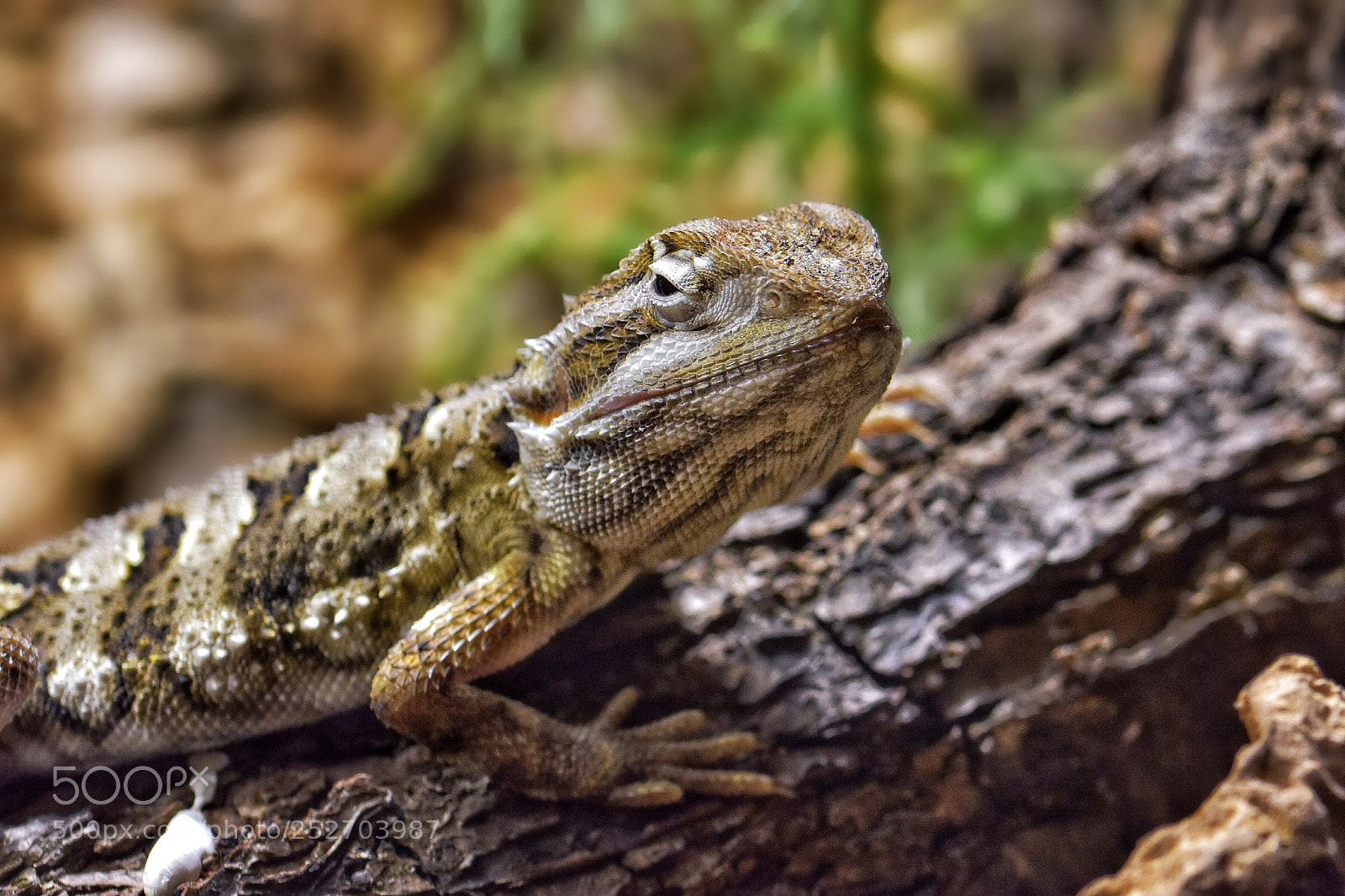 Nikon D7200 sample photo. Nature photography