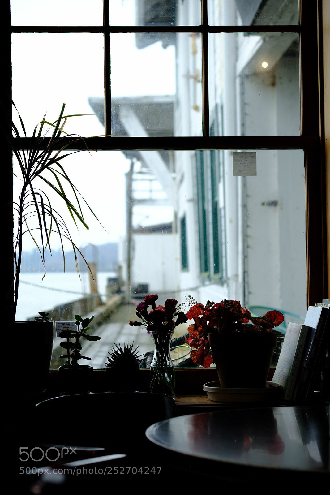 Fujifilm X-Pro2 sample photo. Windswept photography