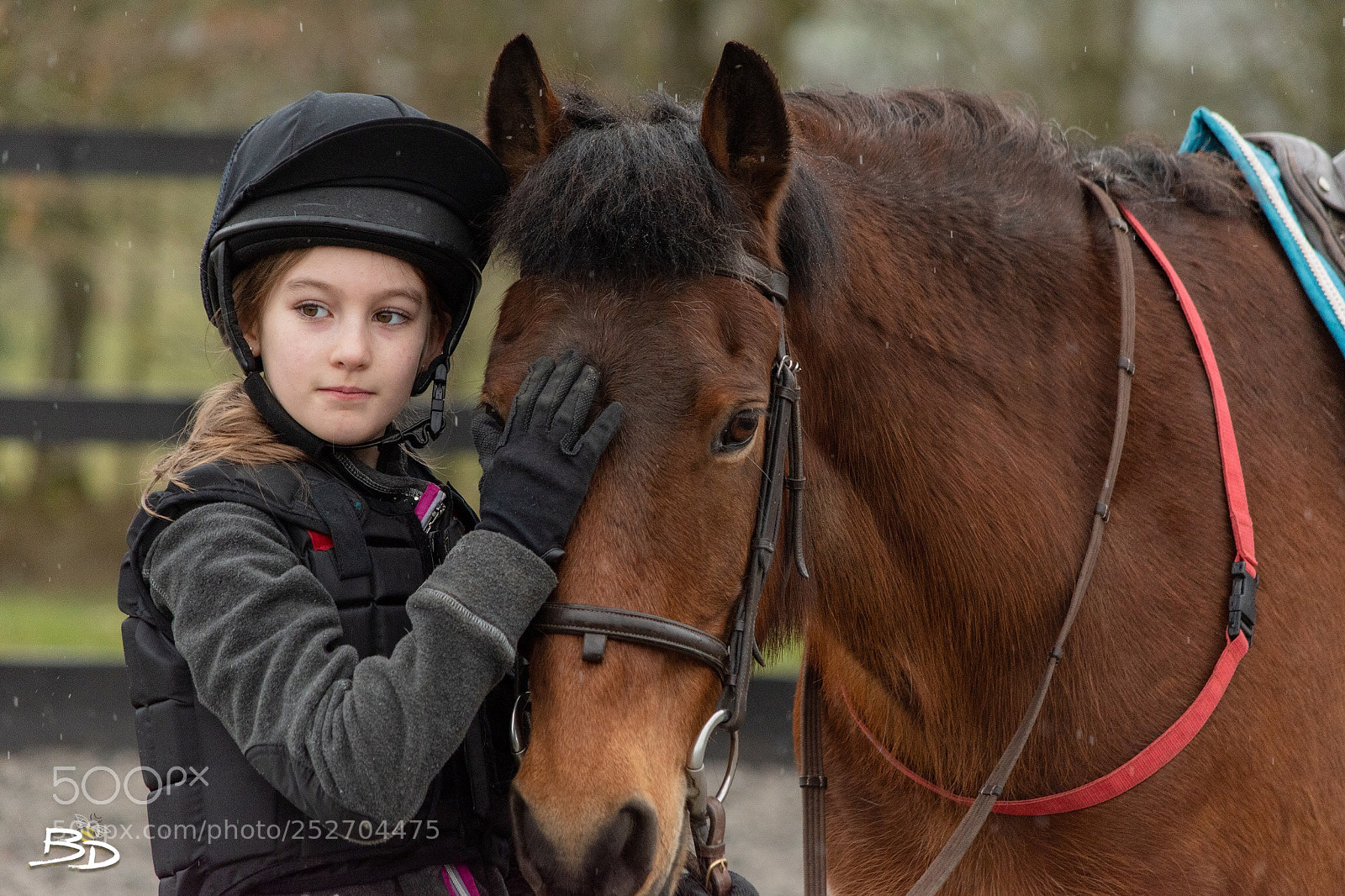 Nikon D5600 sample photo. New pony day! photography