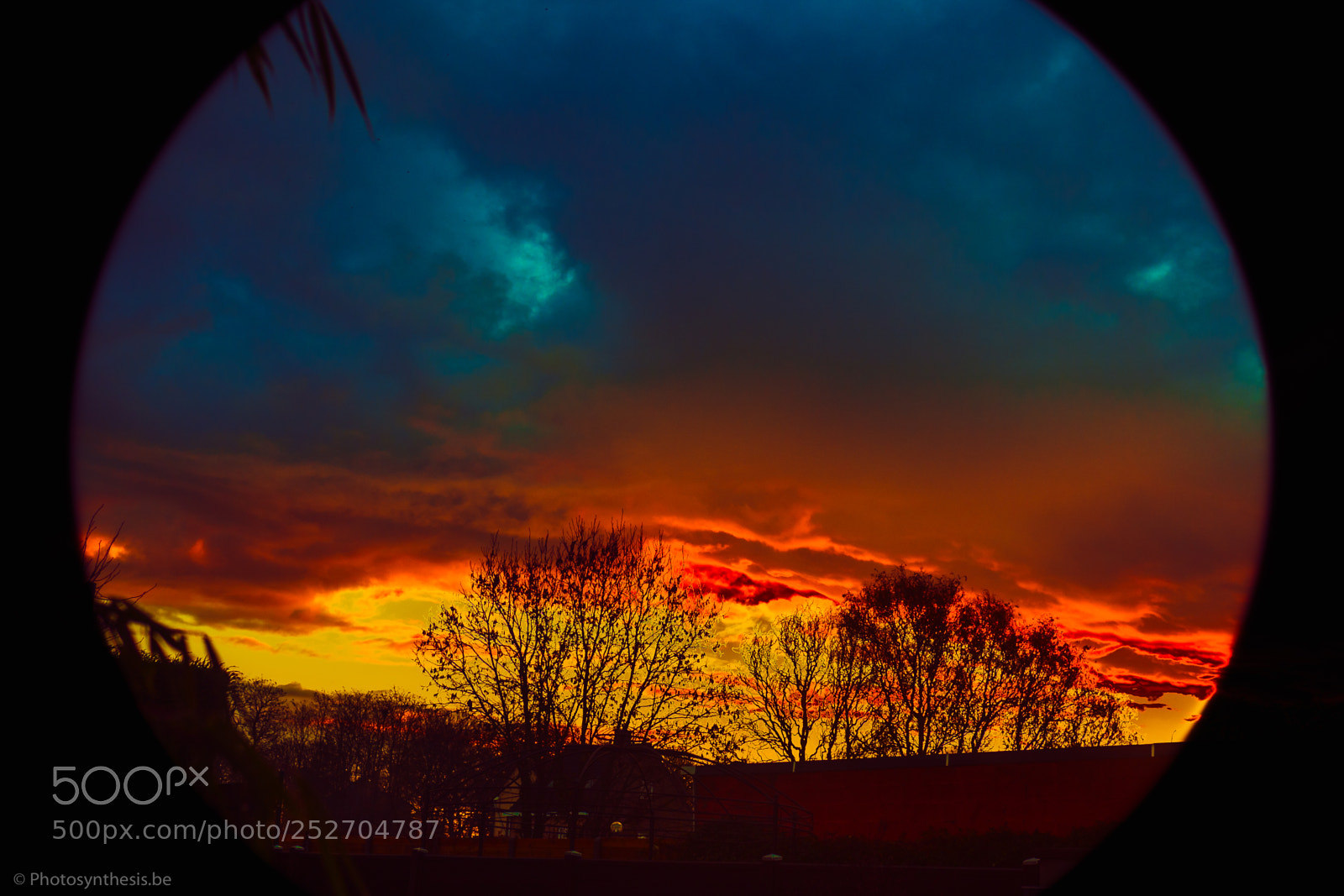 Olympus OM-D E-M10 sample photo. Fire in the sky photography