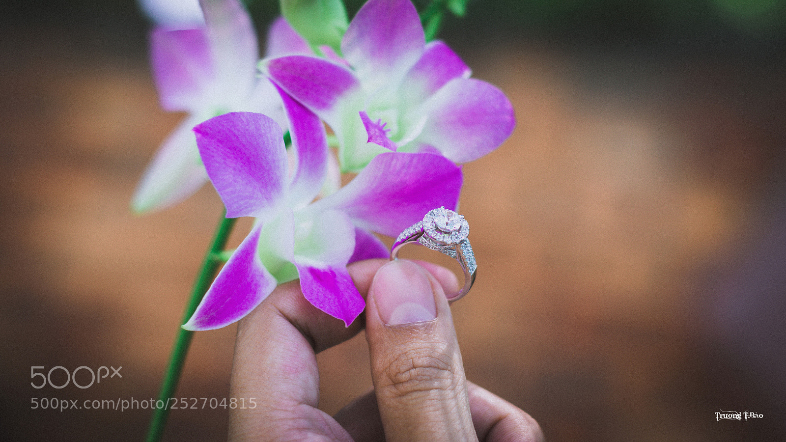 Nikon D5300 sample photo. 1 photography