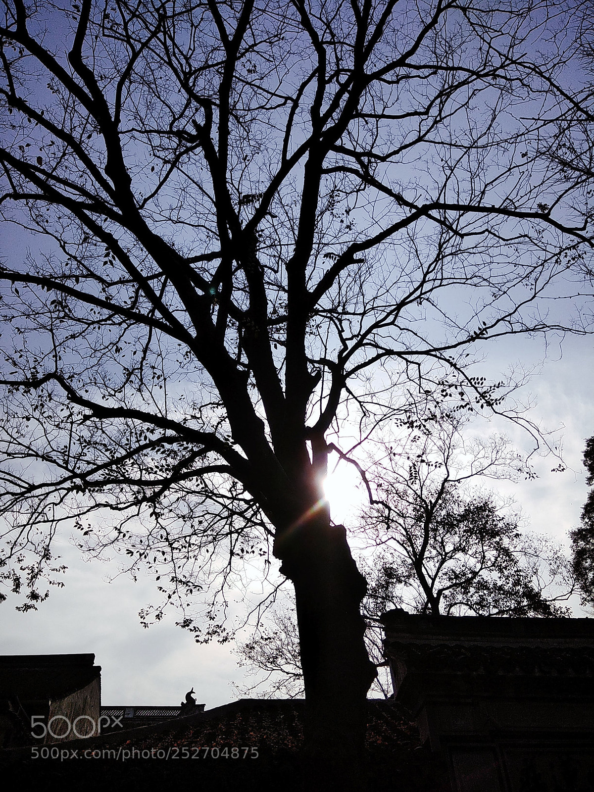 Xiaomi Redmi Note 4X sample photo. Untitled photography