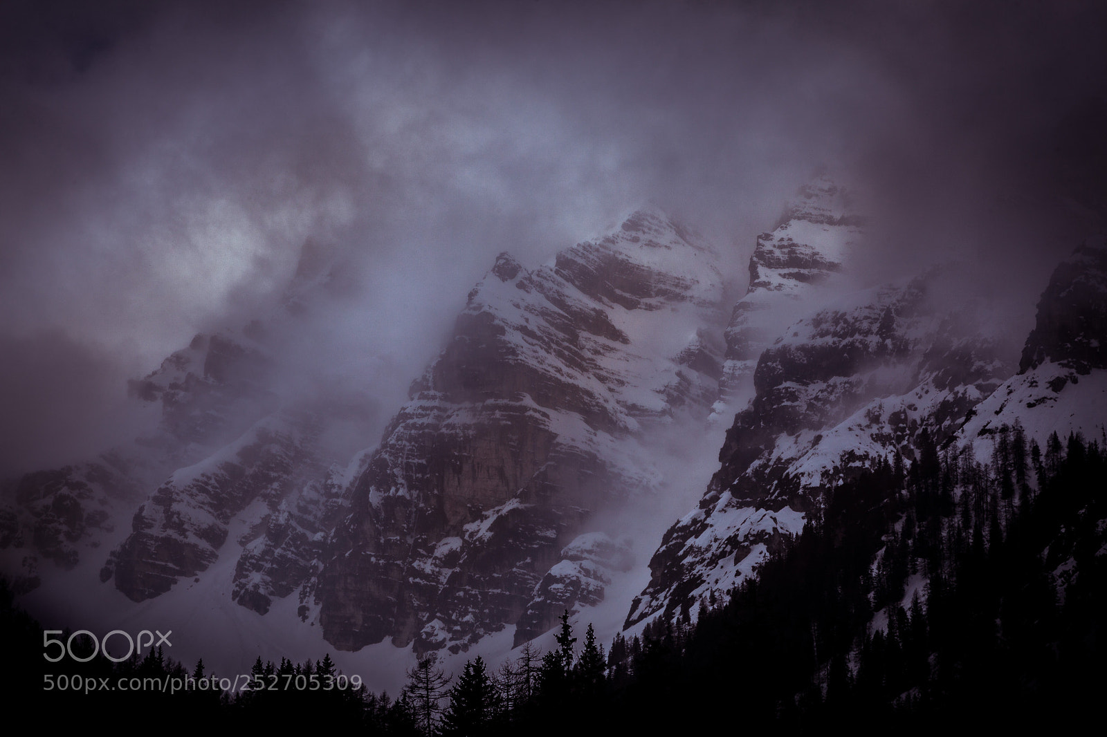 Canon EOS 5D Mark II sample photo. The monster photography