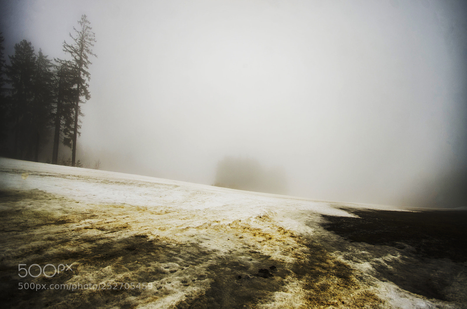 Pentax K-5 sample photo. Lipno fog photography