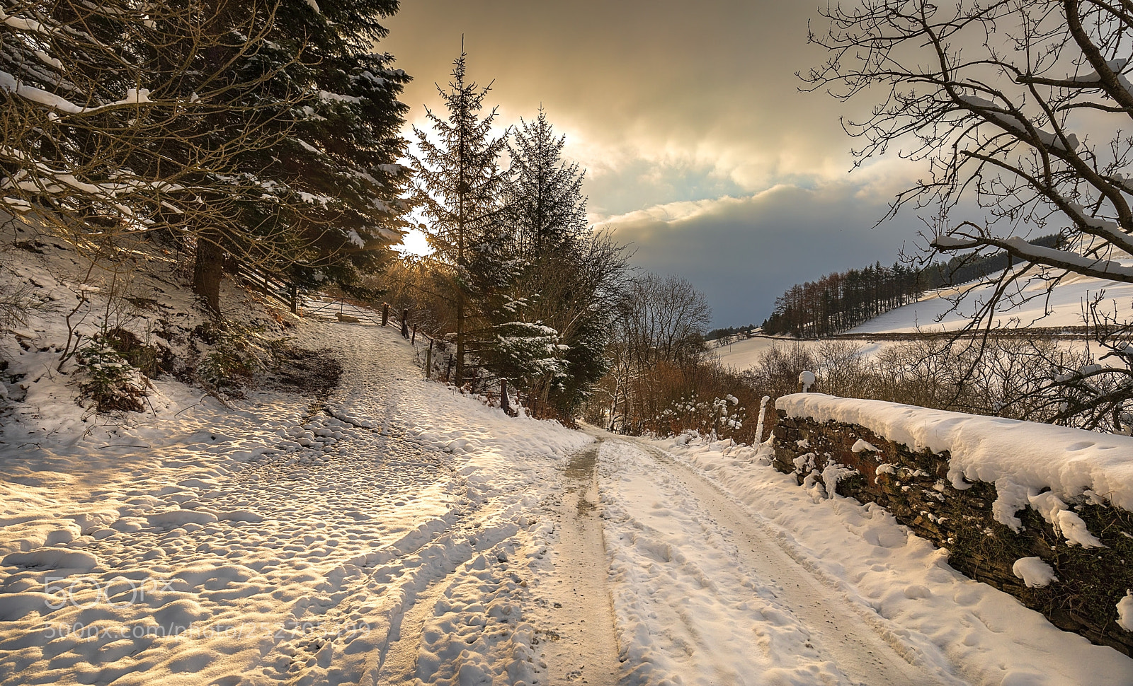 Canon EOS 5D Mark IV sample photo. Early morning snow glow photography