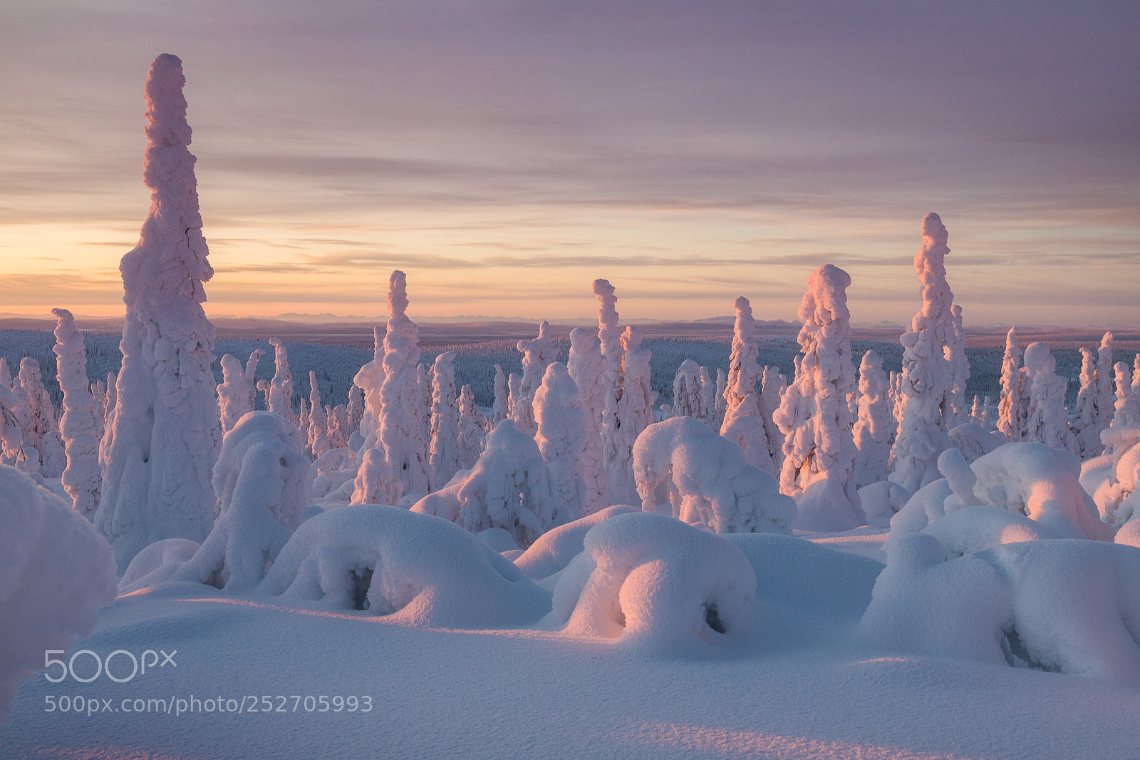 Canon EOS 6D Mark II sample photo. Lapland, winter wonderland photography