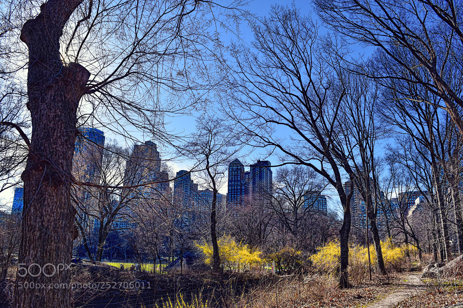 Nikon D5500 sample photo. Early spring photography