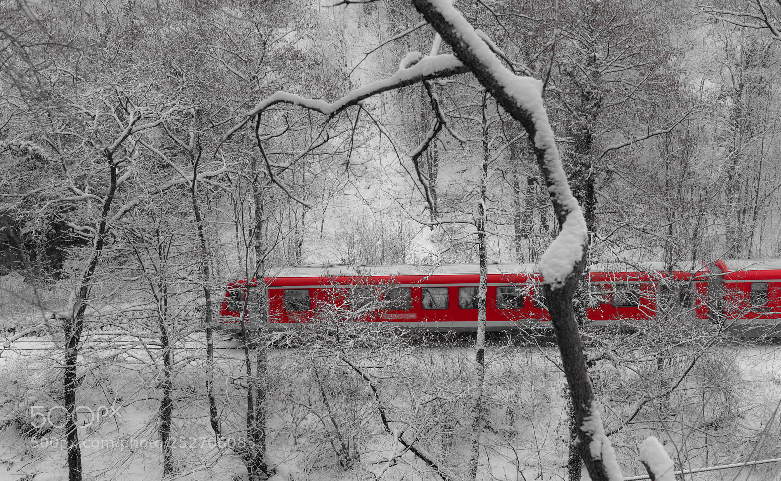 Sony a7R II sample photo. Arrow through the winter photography