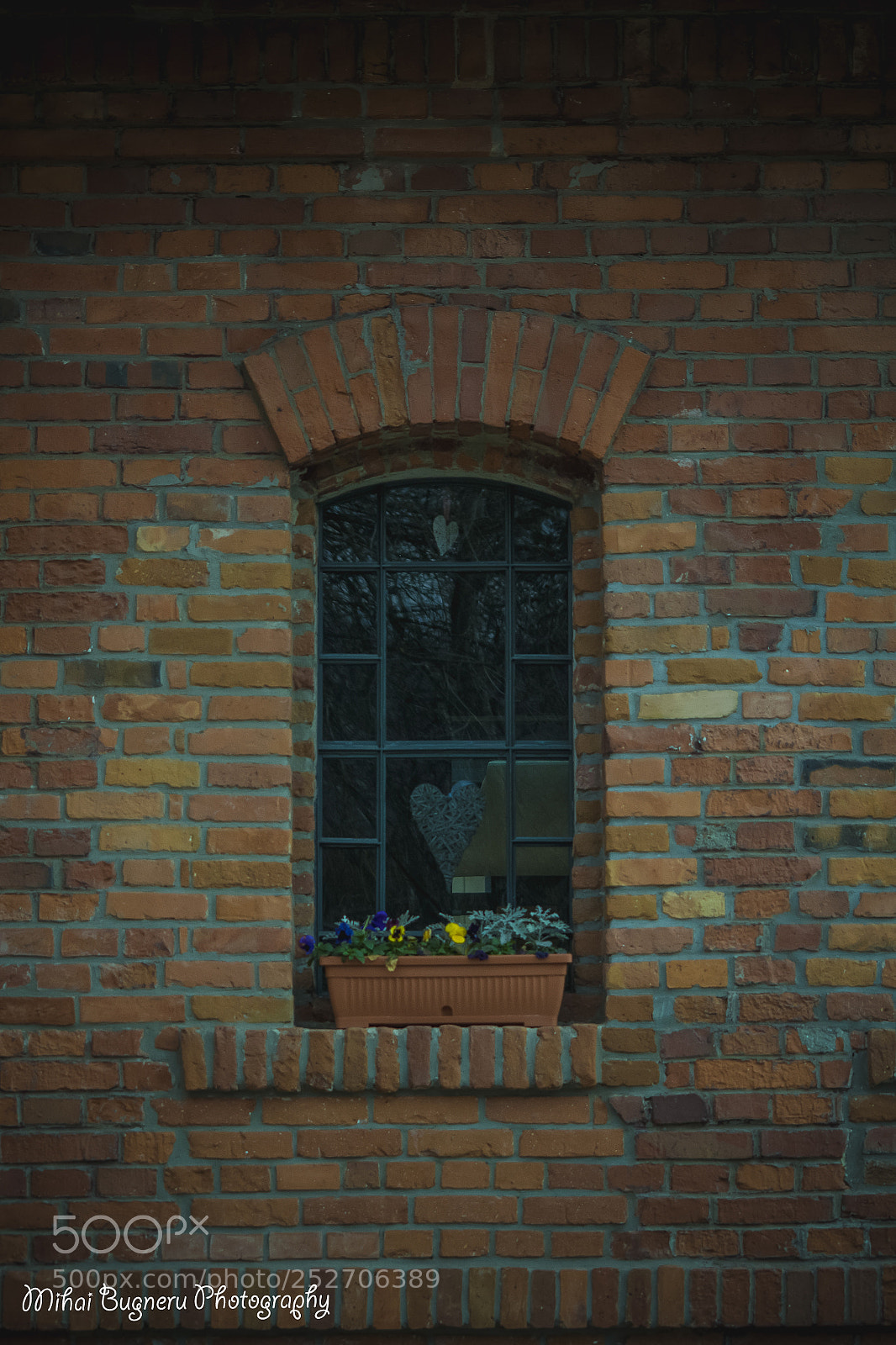 Nikon D3100 sample photo. Castelul corvinilor photography