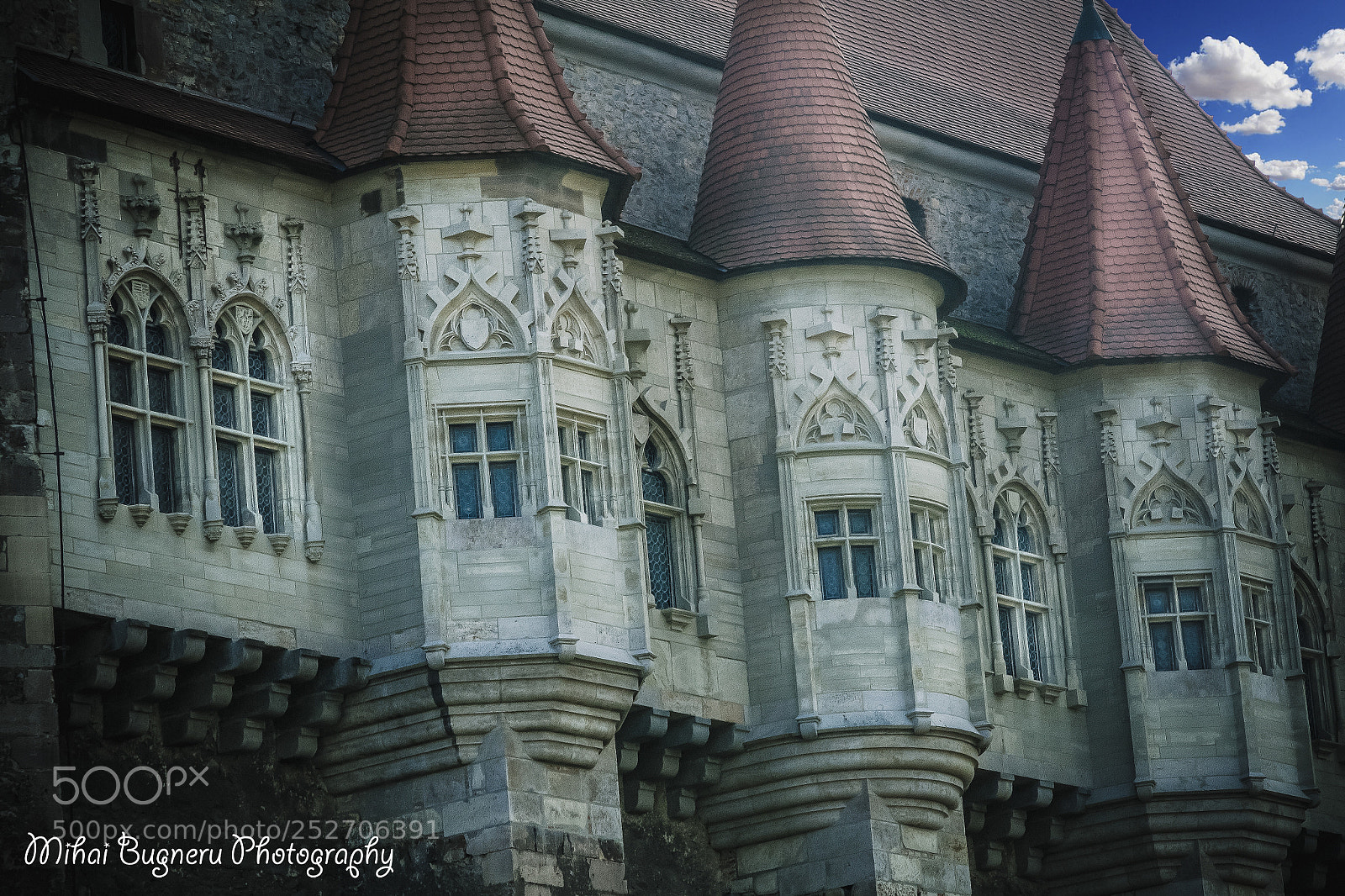 Nikon D3100 sample photo. Castelul corvinilor photography