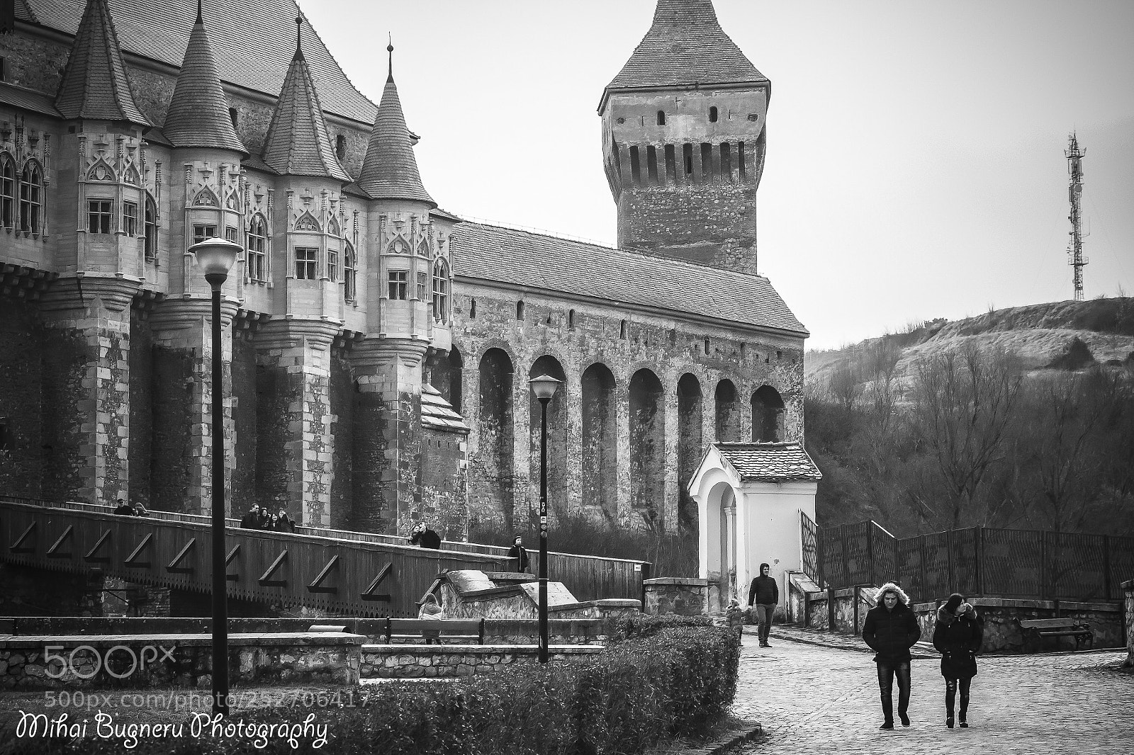 Nikon D3100 sample photo. Castelul corvinilor photography