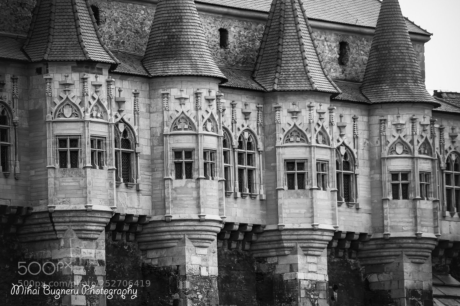 Nikon D3100 sample photo. Castelul corvinilor photography