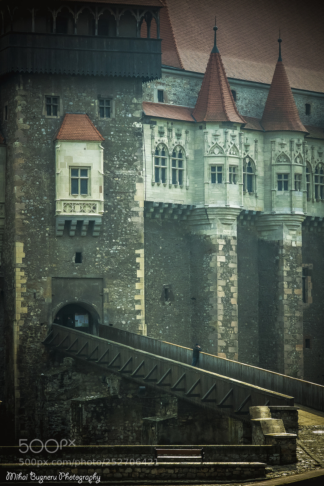 Nikon D3100 sample photo. Castelul corvinilor photography