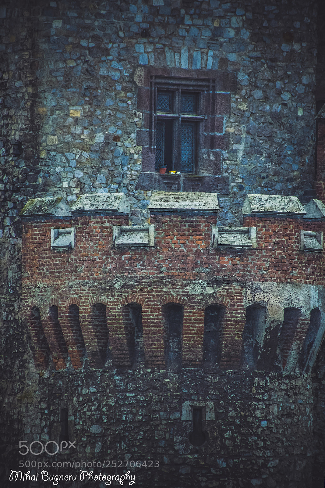 Nikon D3100 sample photo. Castelul corvinilor photography