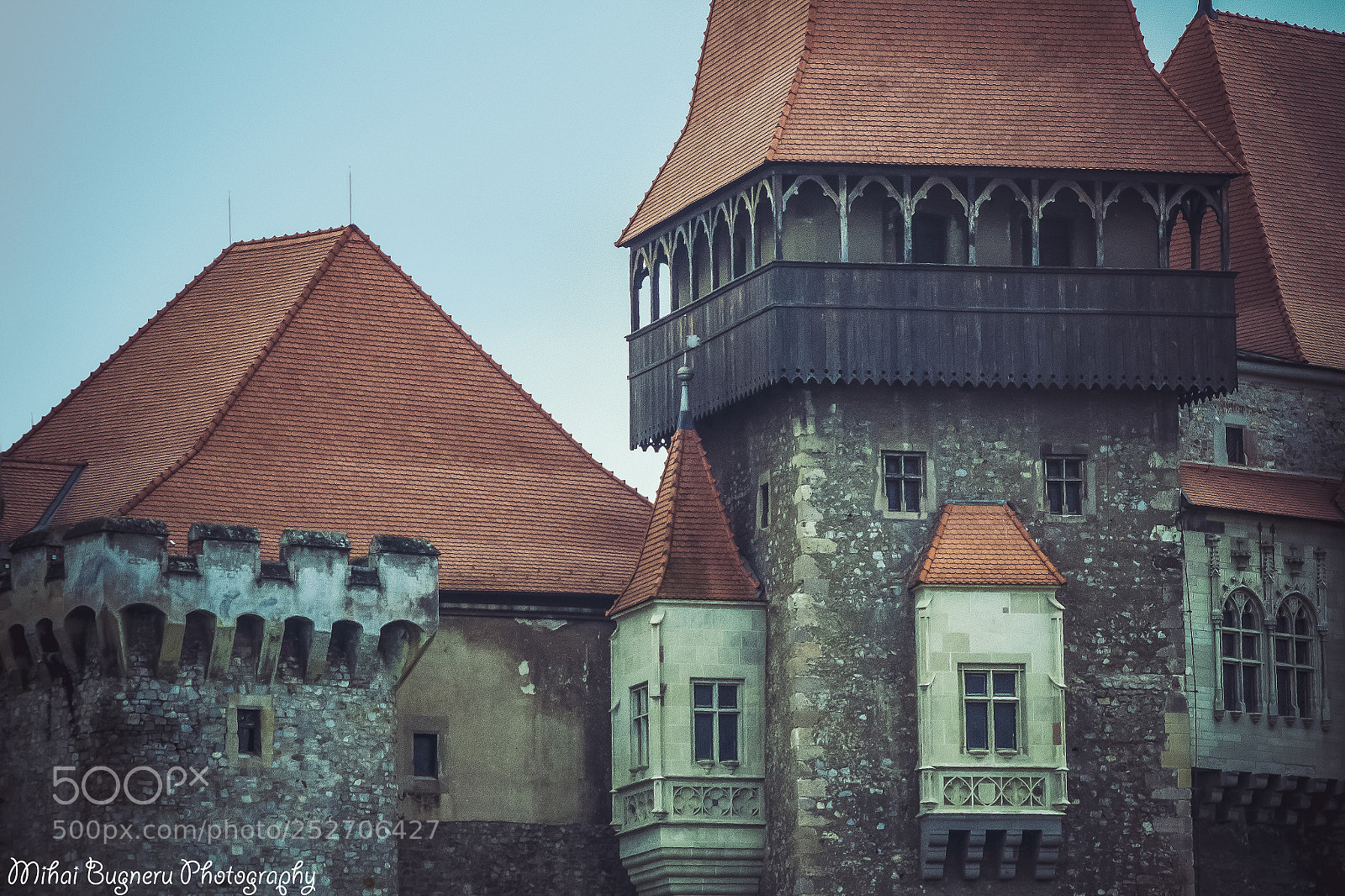 Nikon D3100 sample photo. Castelul corvinilor photography
