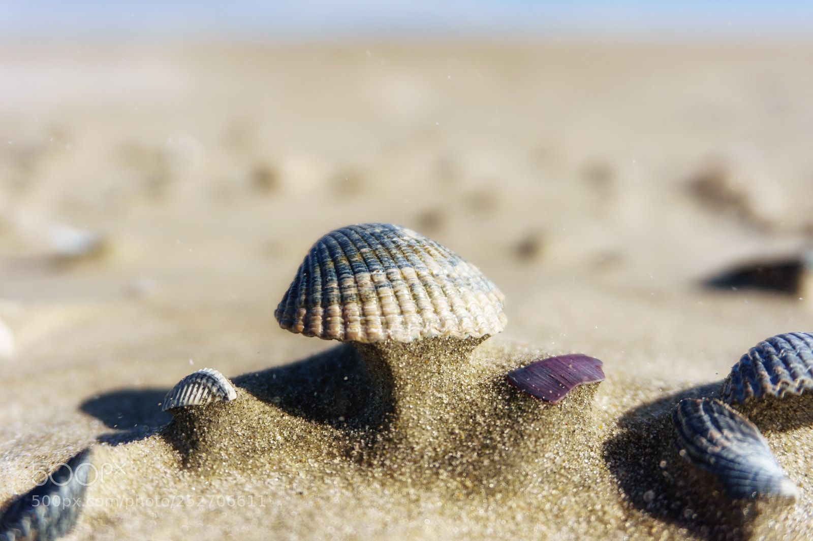 Sony a6000 sample photo. Beach building photography