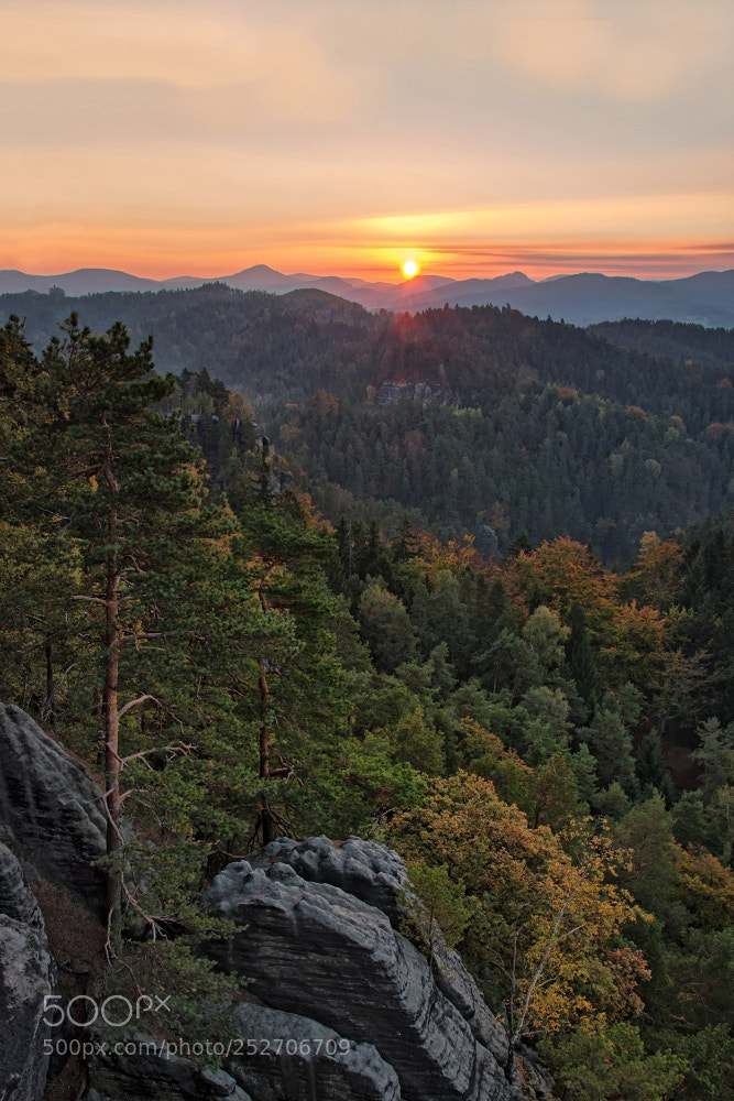 Nikon D90 sample photo. Sunrise in bohemian switzerland photography