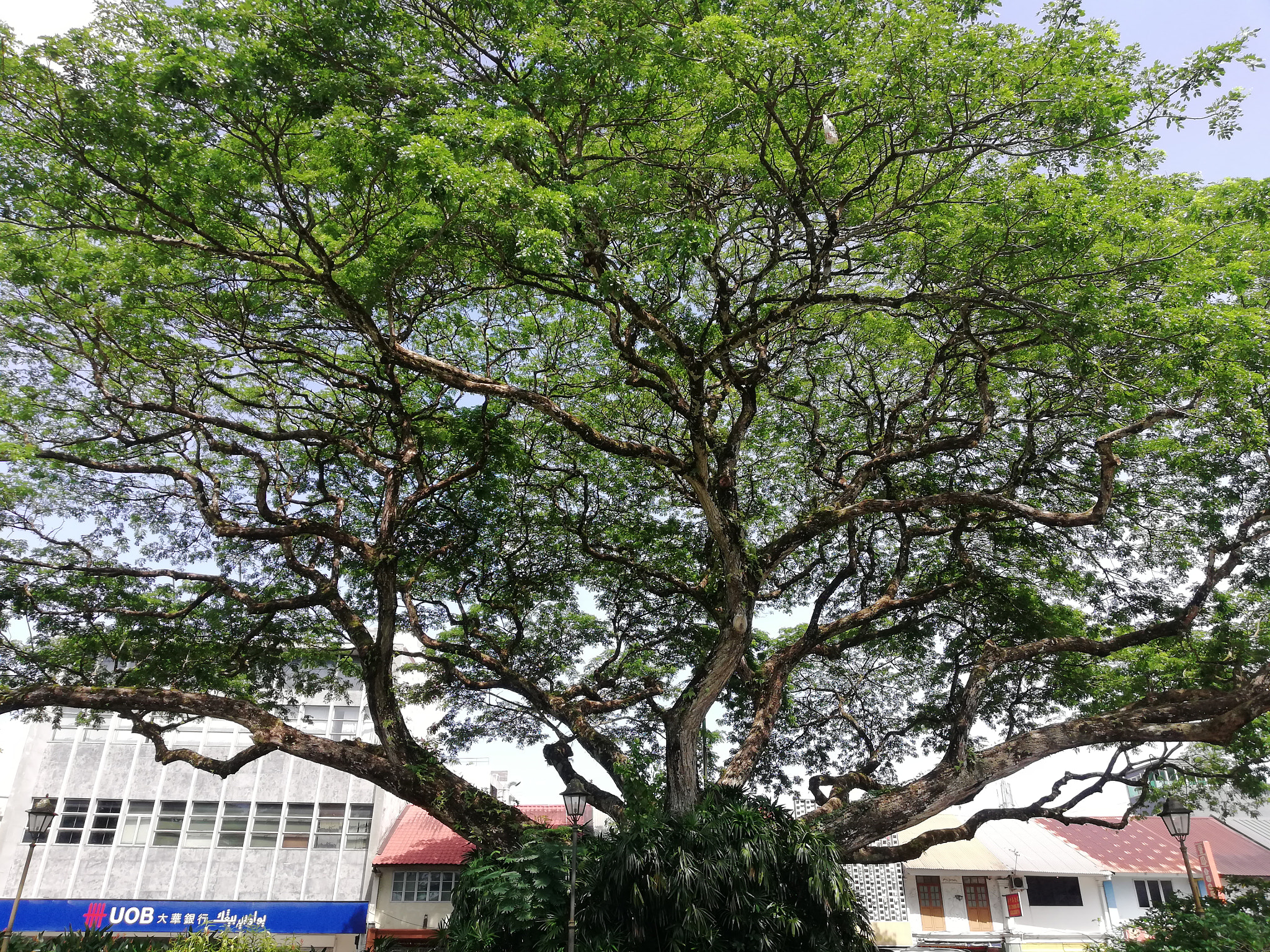 HUAWEI nova 2i sample photo