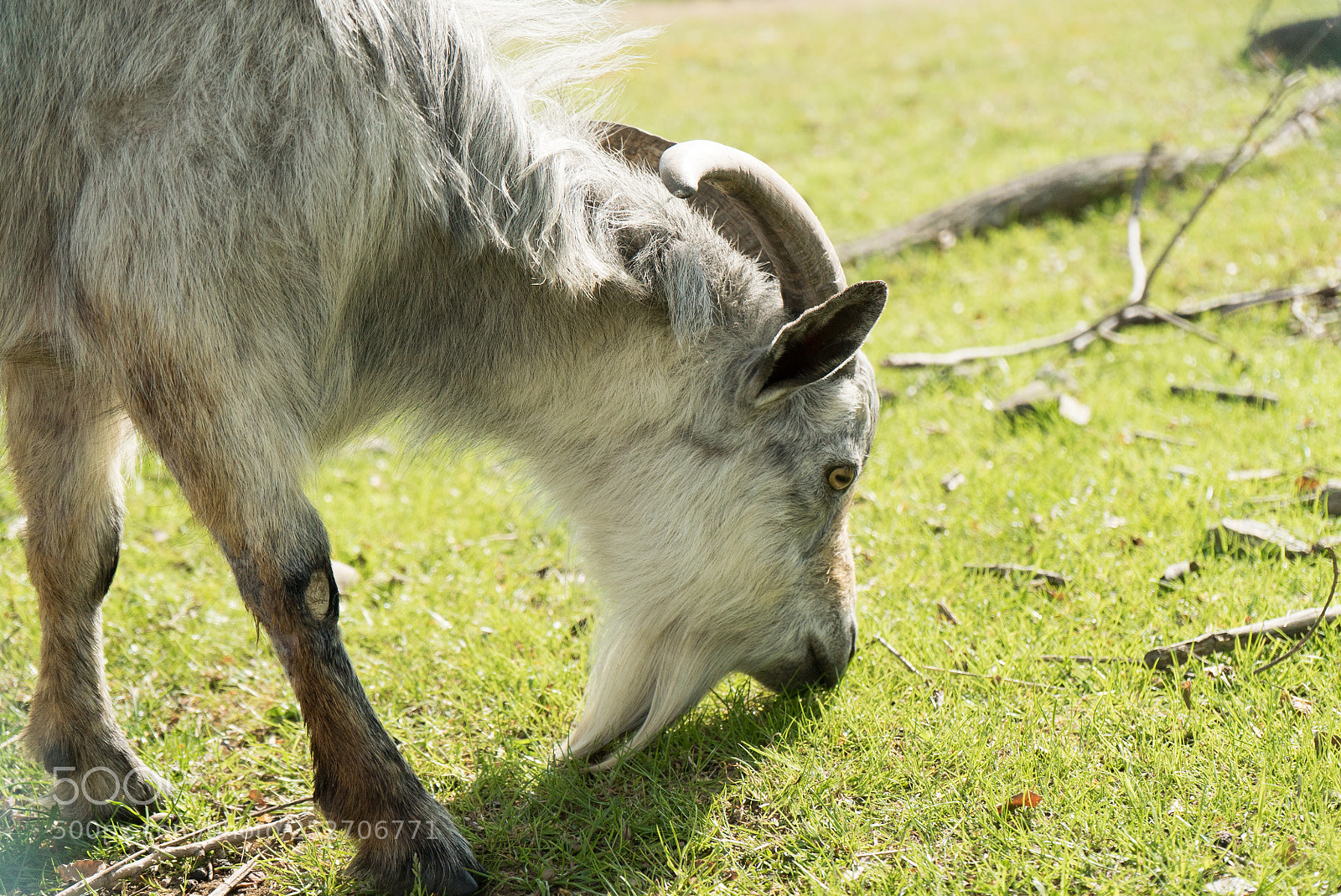 Sony a7S sample photo. Untitled photography