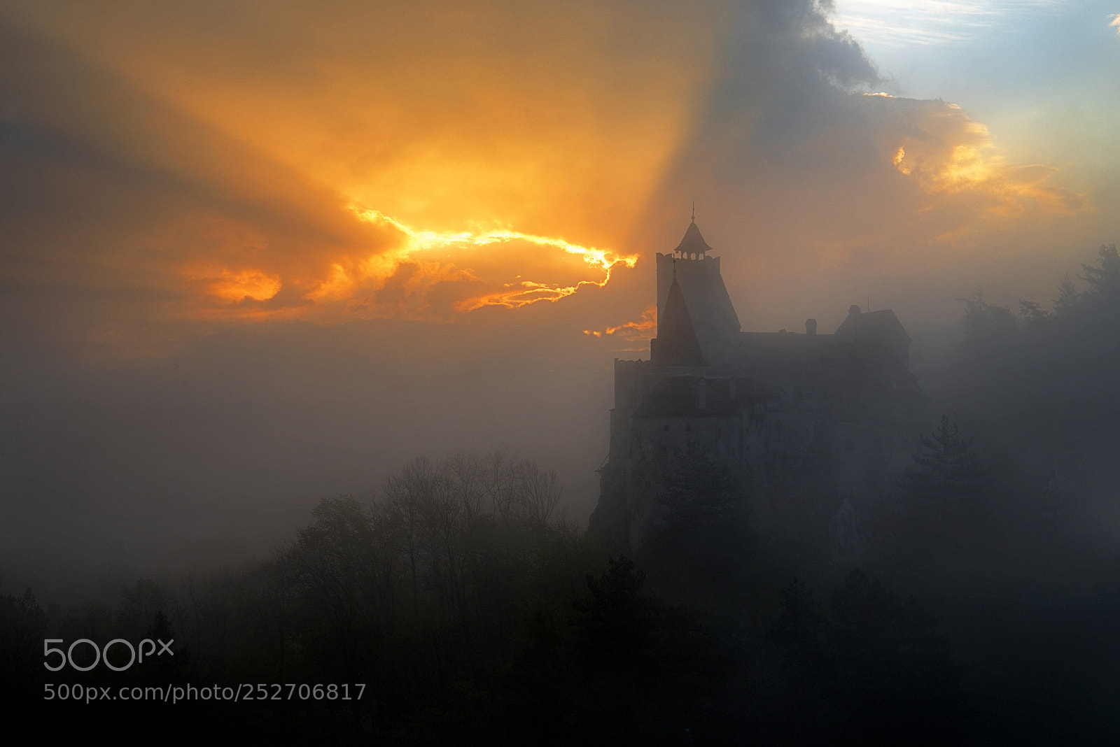 Nikon D810 sample photo. Foggy sunrise photography