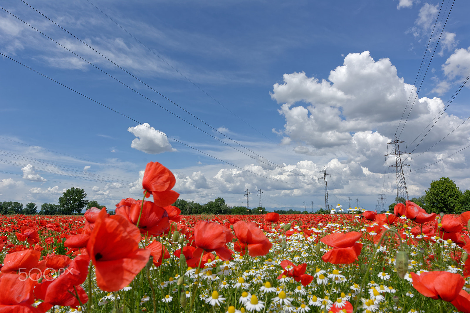 Nikon D7100 + Nikon AF-S Nikkor 14-24mm F2.8G ED sample photo. Springtime photography