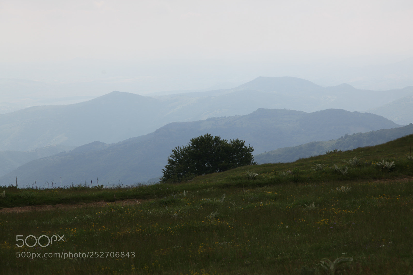 Canon EOS 5D Mark II sample photo. Ponikve (mountain, macedonia) photography