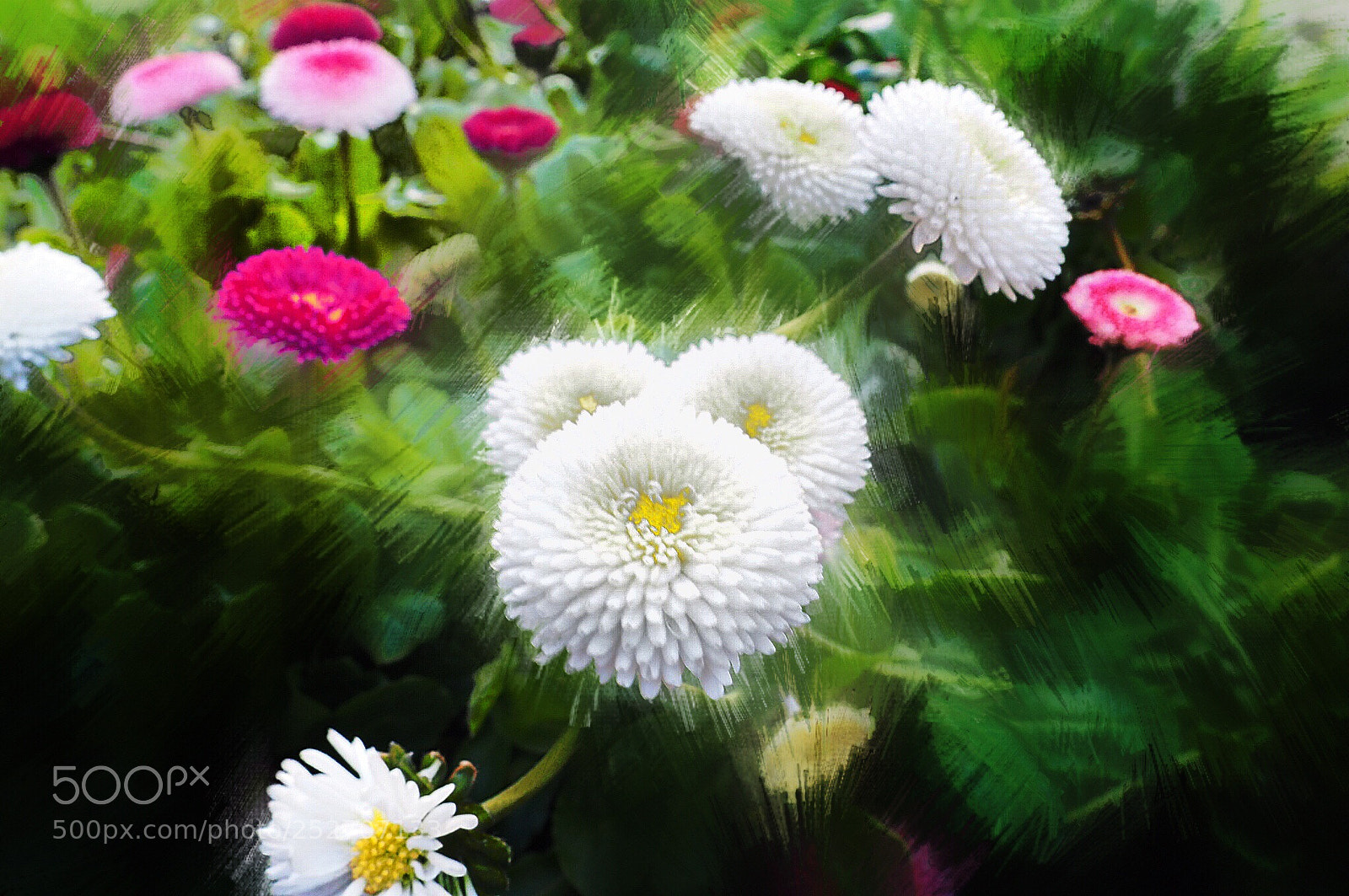 Olympus OM-D E-M10 II sample photo. Sparkle garden photography