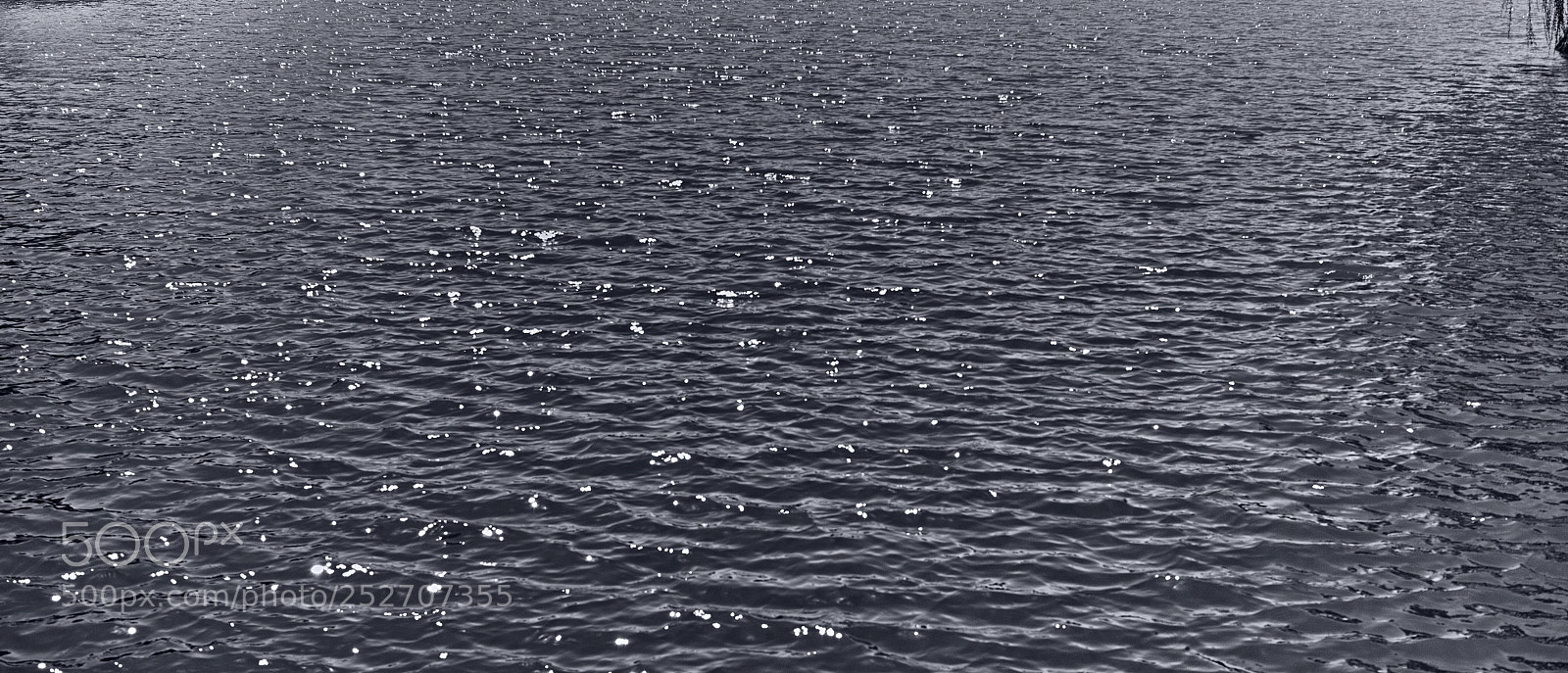 Sigma dp2 Quattro sample photo. Lake surface photography
