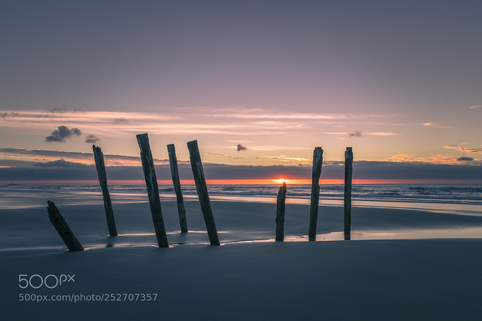 Canon EOS-1D X Mark II sample photo. The sun-rising over the photography
