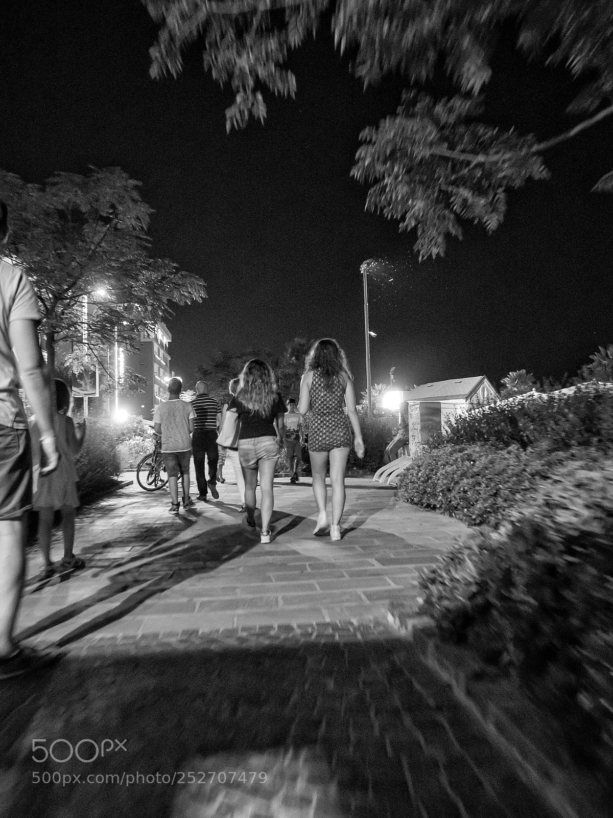Olympus OM-D E-M1 sample photo. Untitled photography
