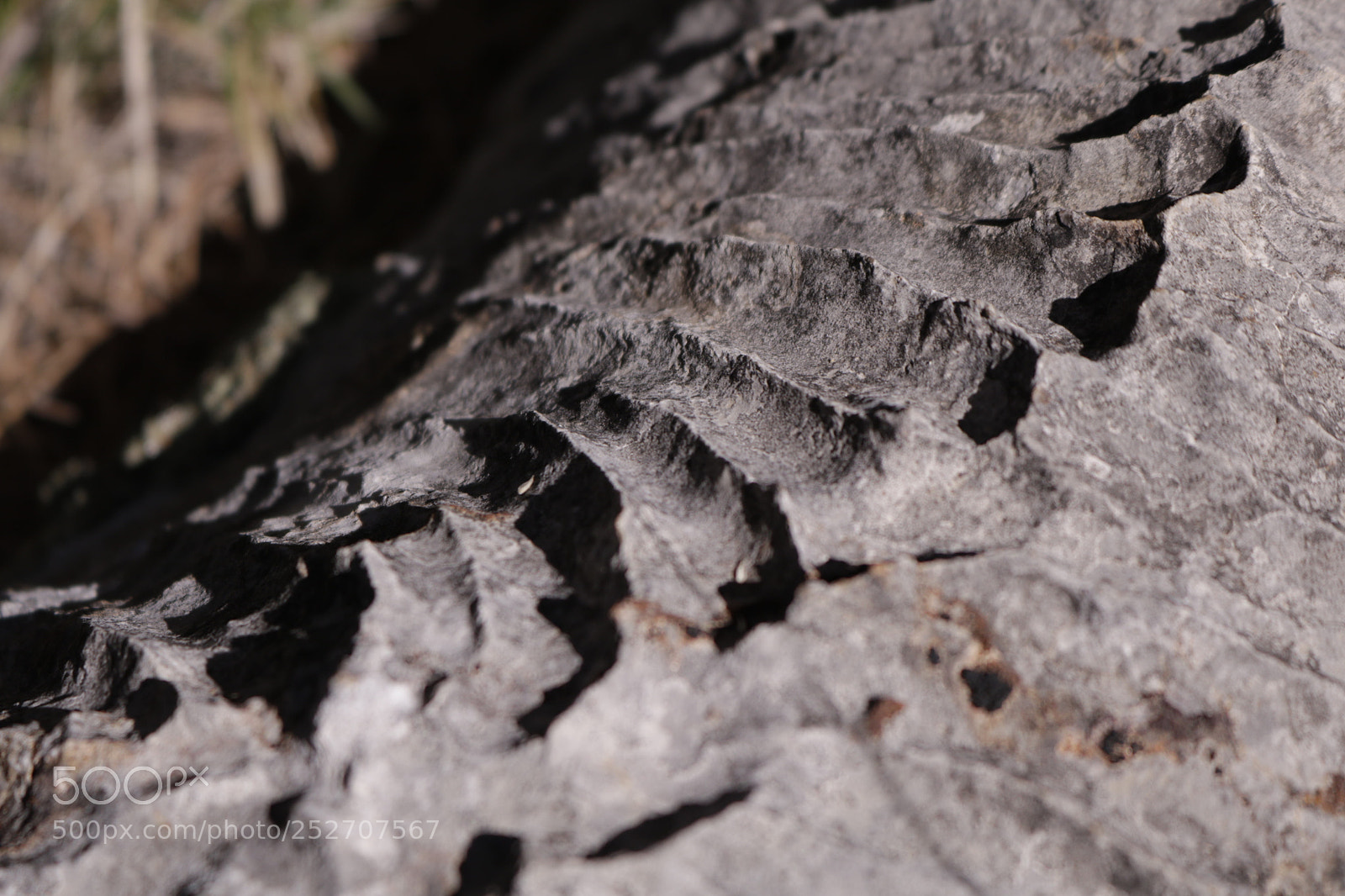 Canon EOS 750D (EOS Rebel T6i / EOS Kiss X8i) sample photo. Stone photography