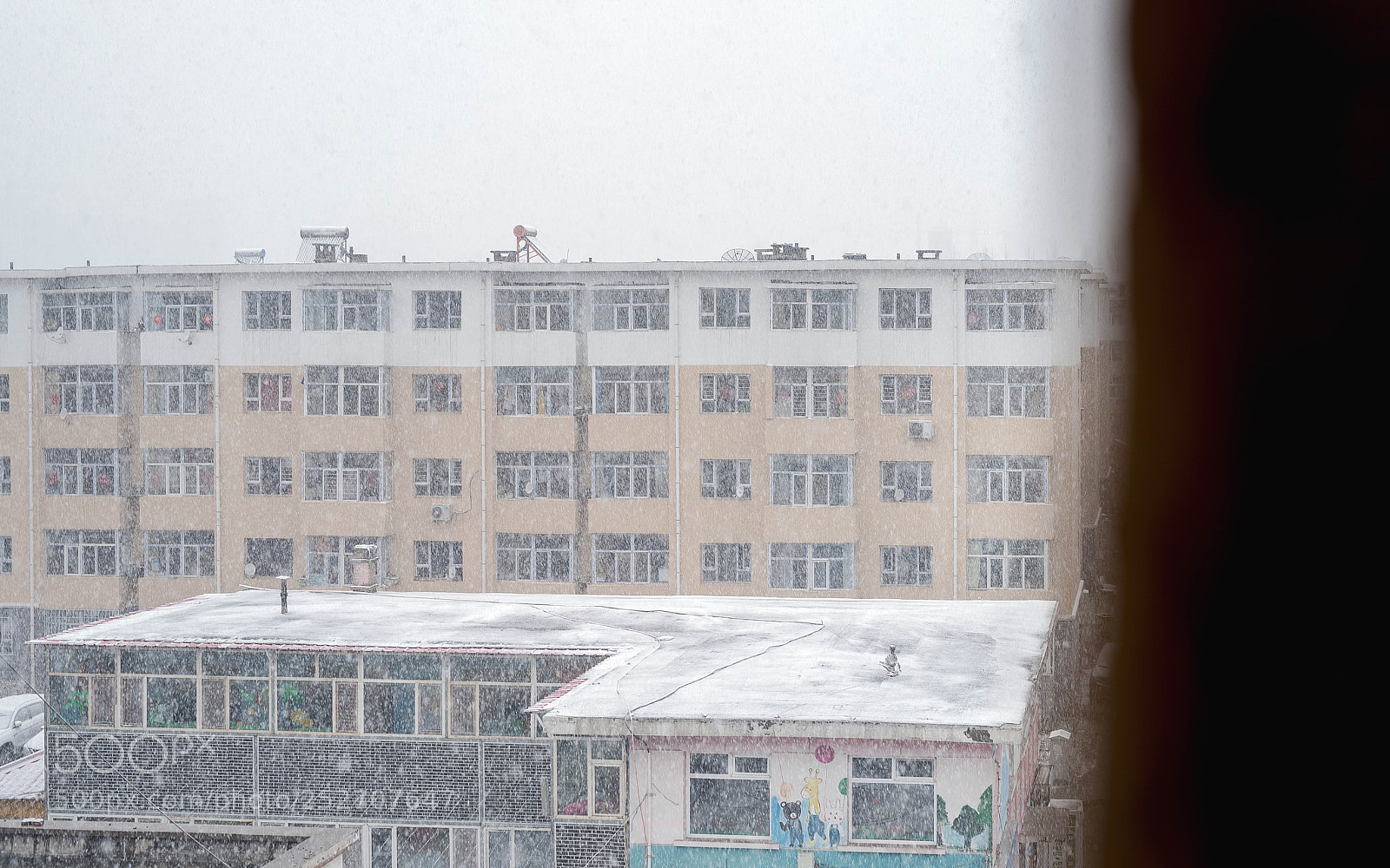 Nikon D810 sample photo. Snow photography