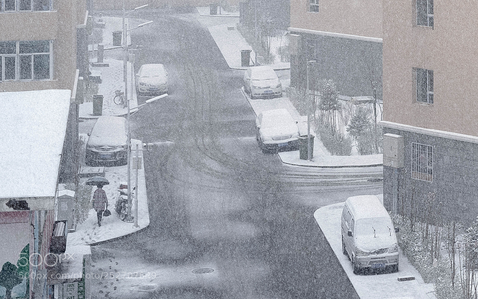 Nikon D810 sample photo. Snow photography