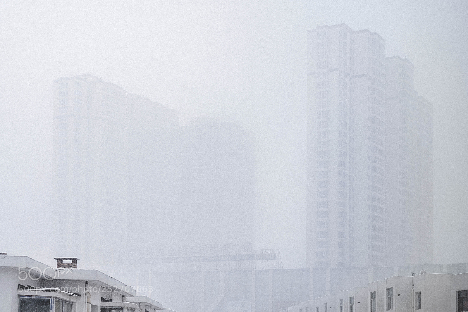 Nikon D810 sample photo. Snow photography