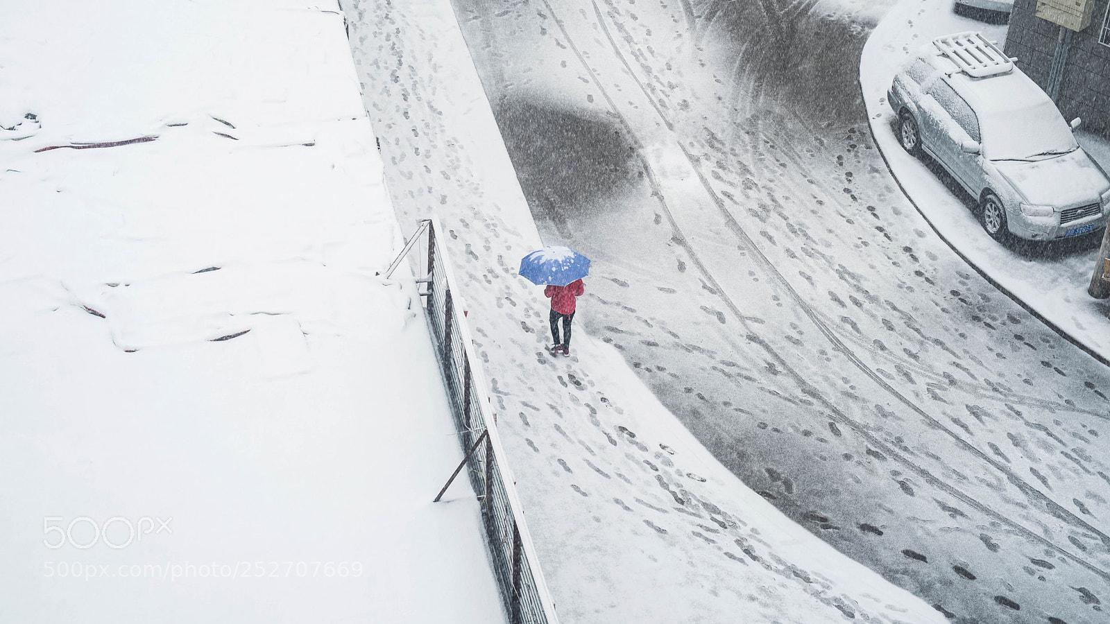 Nikon D810 sample photo. Snow photography