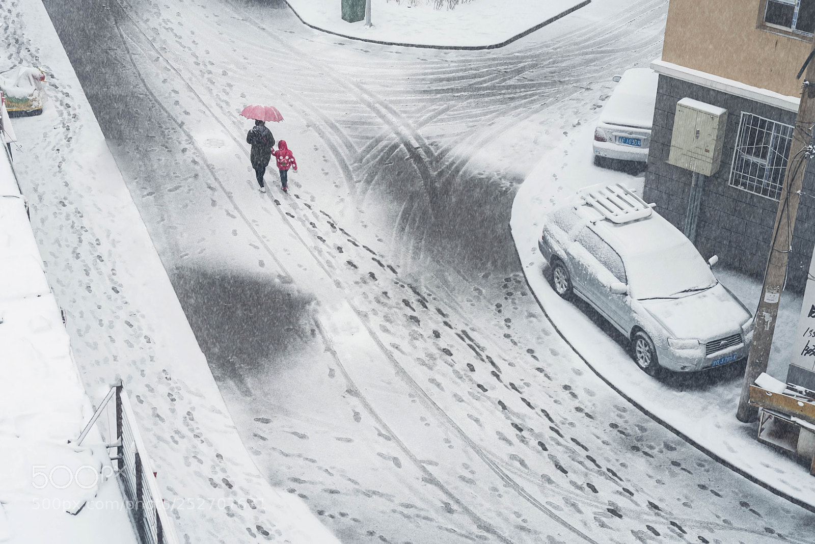 Nikon D810 sample photo. Snow photography