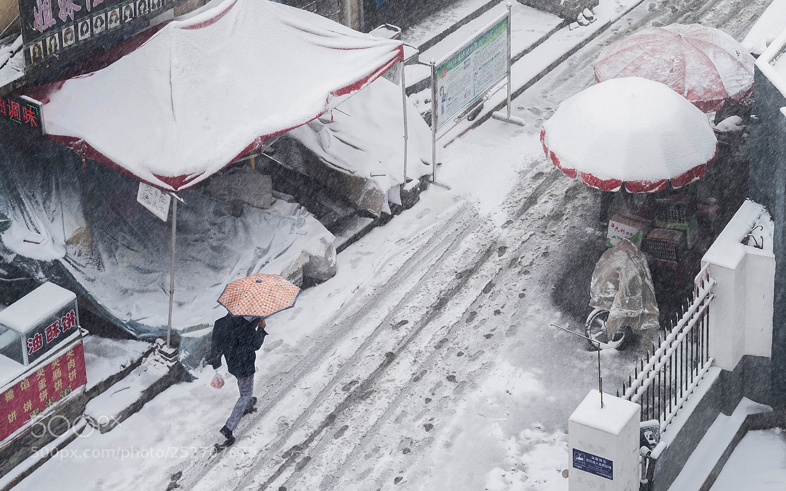 Nikon D810 sample photo. Snow photography
