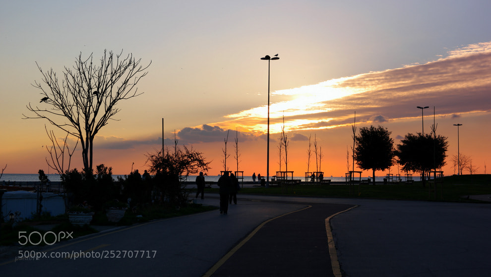 Samsung NX1 sample photo. ... photography
