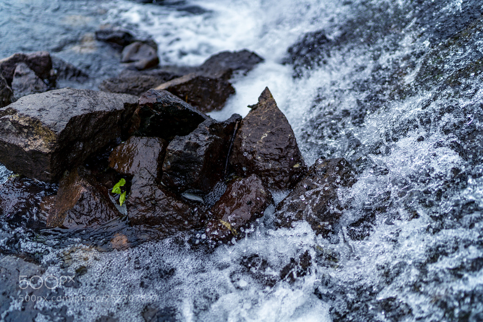 Sony a7R III sample photo. Water and green photography