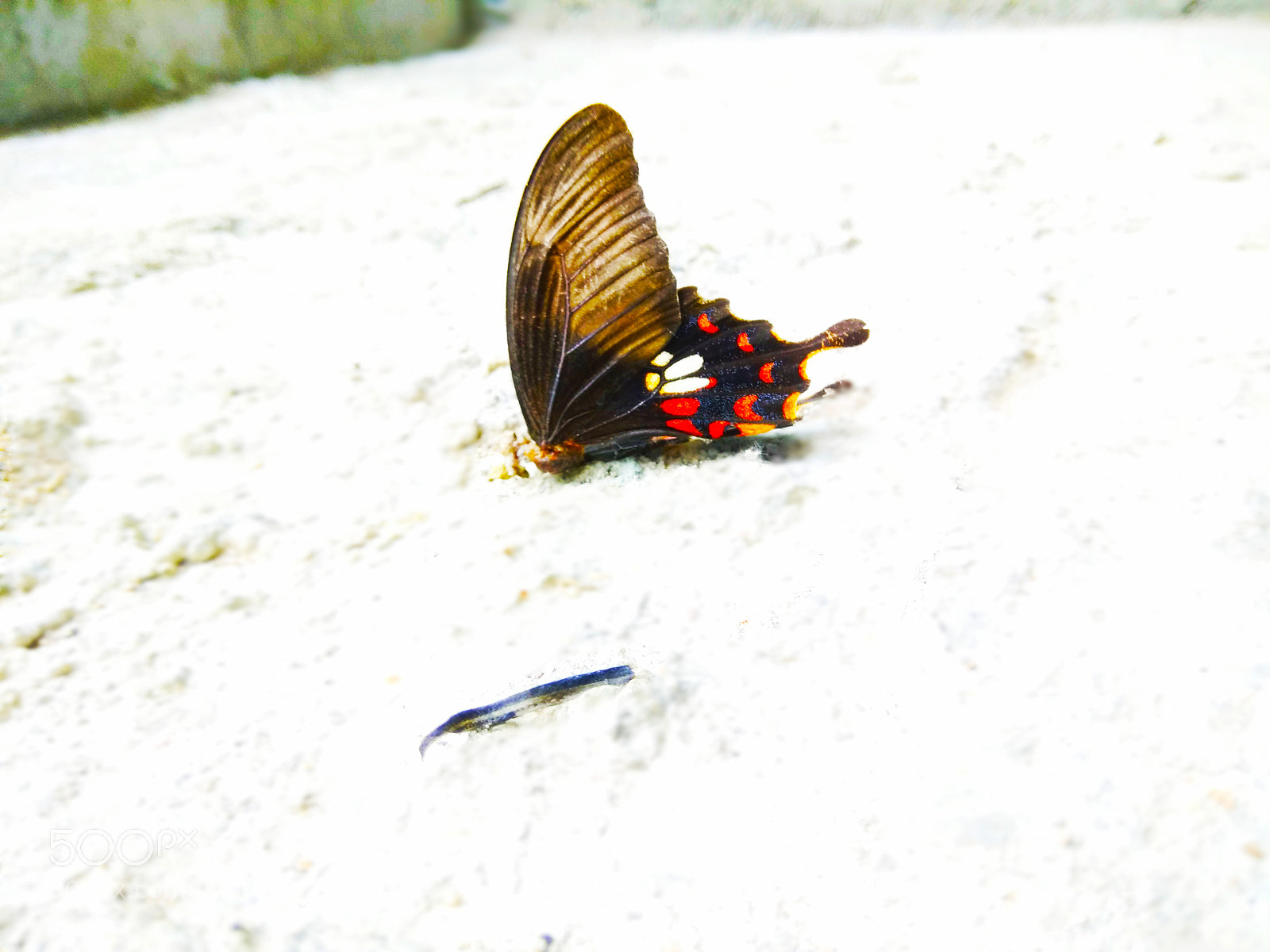 Xiaomi Redmi Note 4 sample photo. Untitled photography