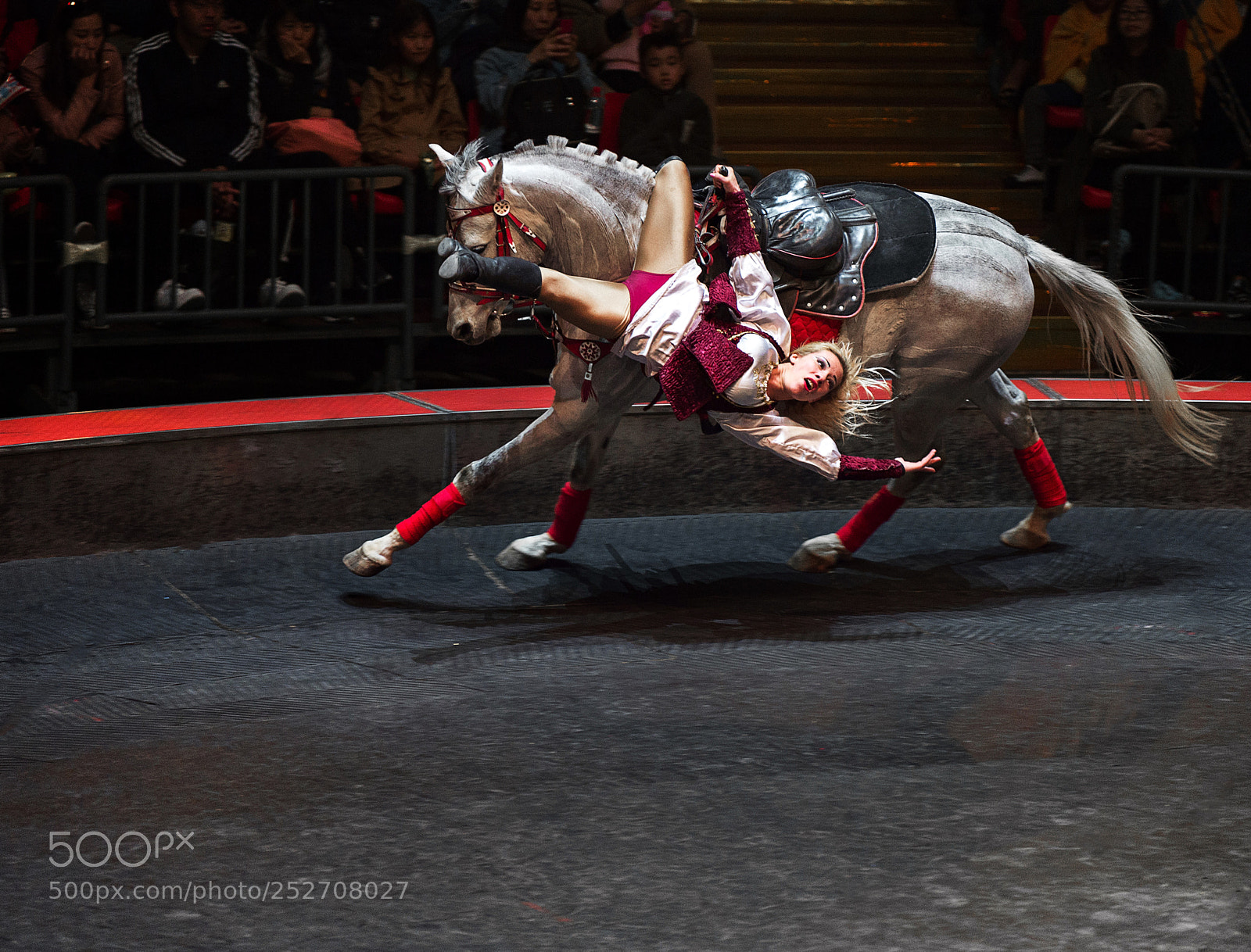 Nikon D4S sample photo. Circus rider photography