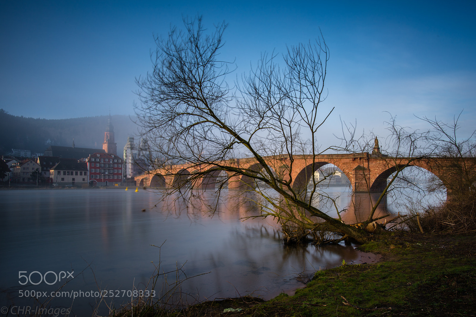 Nikon D810 sample photo. Misty morning - heidelberg photography
