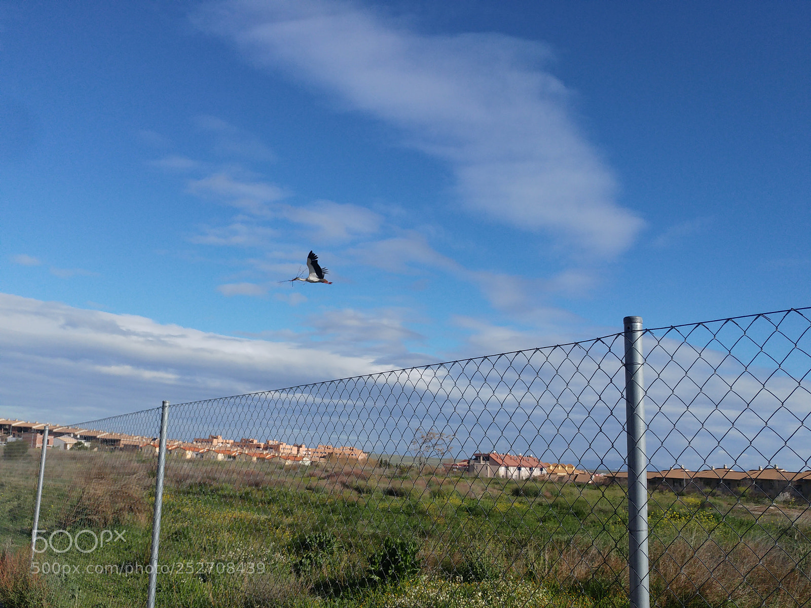 LG G5 sample photo. El vuelo de la photography