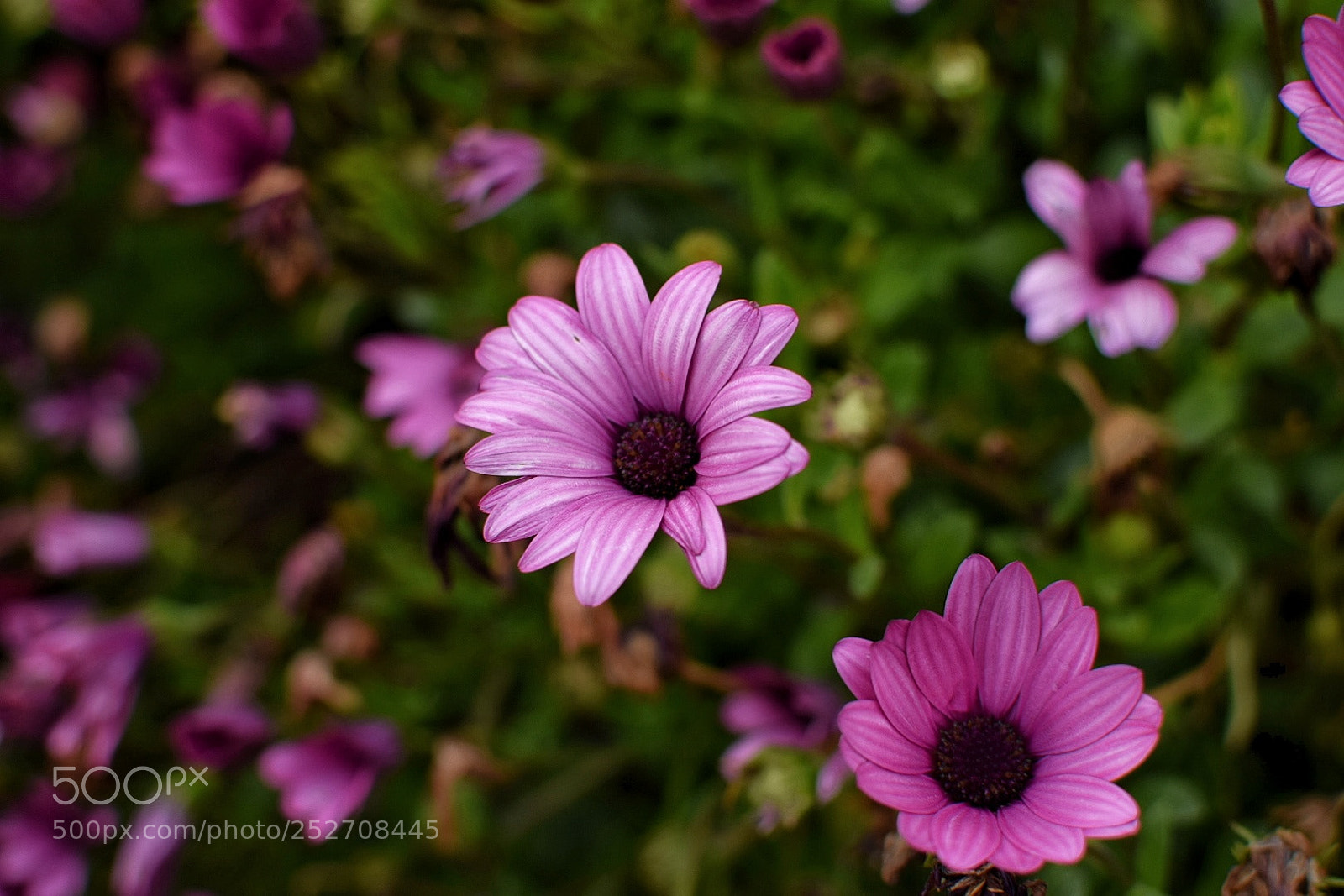 Nikon D5300 sample photo. Untitled photography
