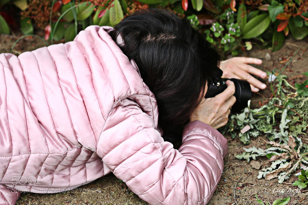 Canon EOS 70D sample photo. Img photography