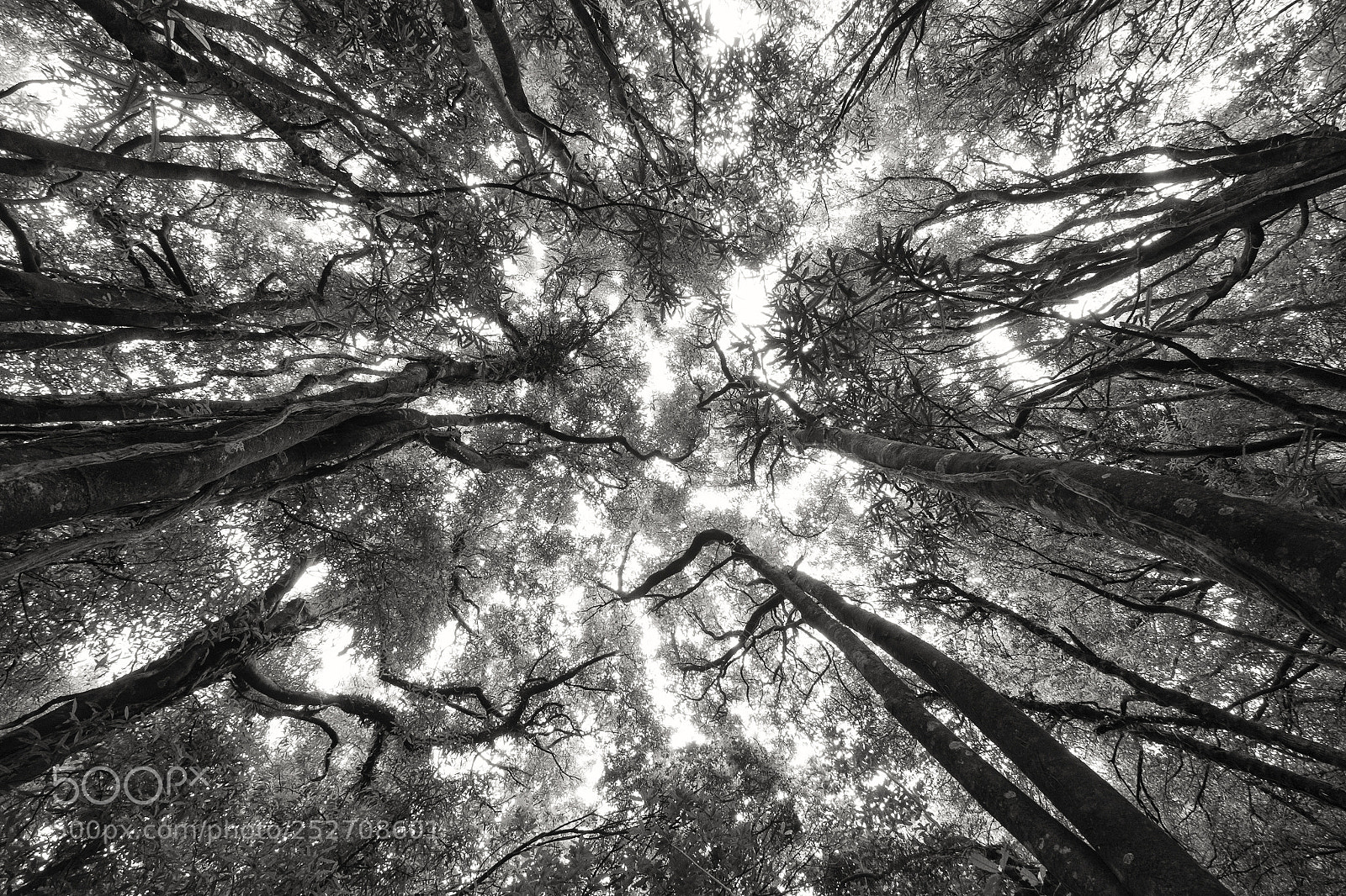 Fujifilm X-T1 sample photo. Manawatu gorge photography
