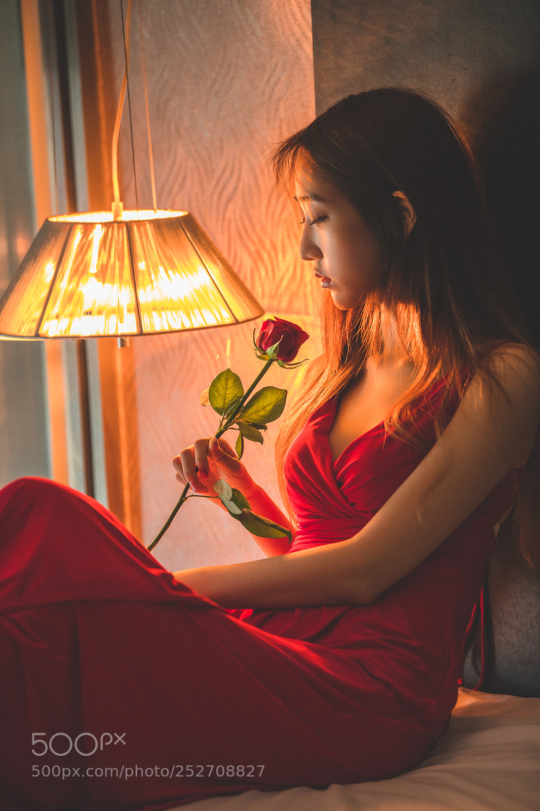 Nikon D850 sample photo. Light photography