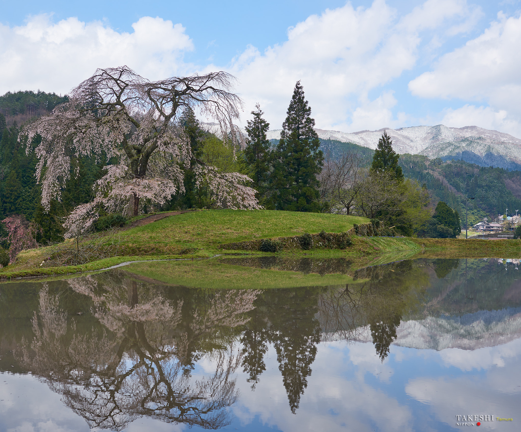 Nikon AF-S Nikkor 24-120mm F4G ED VR sample photo. Yoichino no shidare-sakura and snow mountain photography