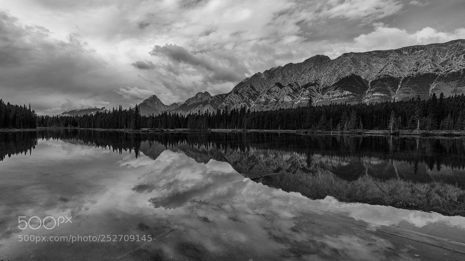 Nikon D810 sample photo. Spray lakes photography