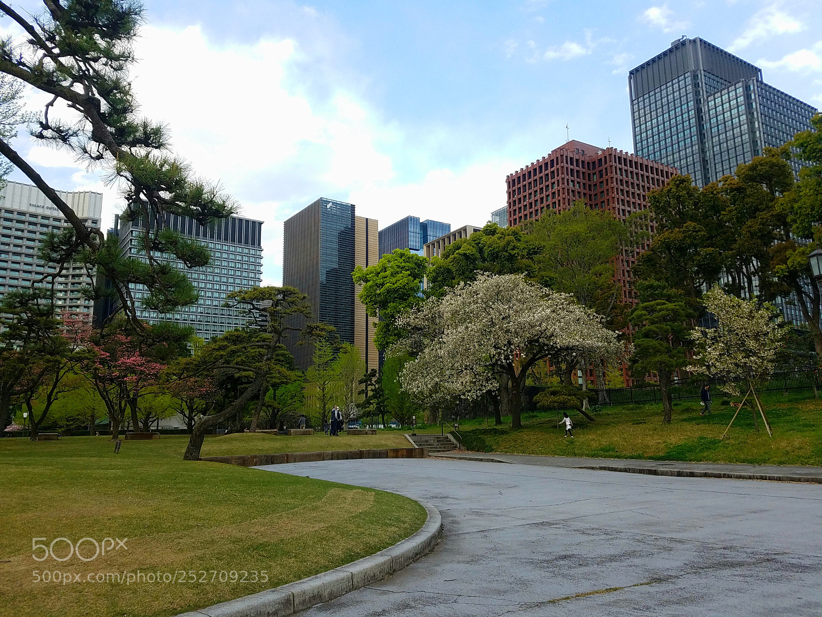Samsung Galaxy S7 Edge sample photo. Tokyo's spring photography